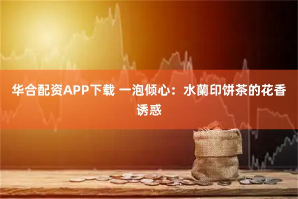 华合配资APP下载 一泡倾心：水蘭印饼茶的花香诱惑