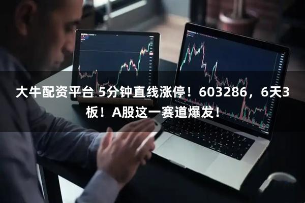 大牛配资平台 5分钟直线涨停！603286，6天3板！A股这一赛道爆发！
