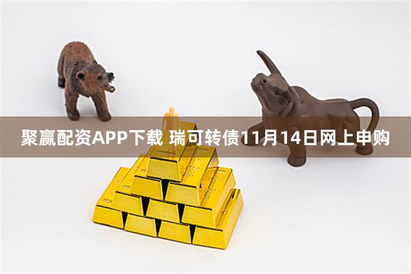 聚赢配资APP下载 瑞可转债11月14日网上申购