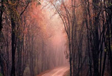 郑州配资网:杠杆交易技巧-证券业大事件!分类评价办法新修订 亮出高质量发展“指挥棒”