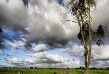 配资官网:股票软件一般哪个好-美联储降息悬而未决 全球静待鲍威尔关键发声